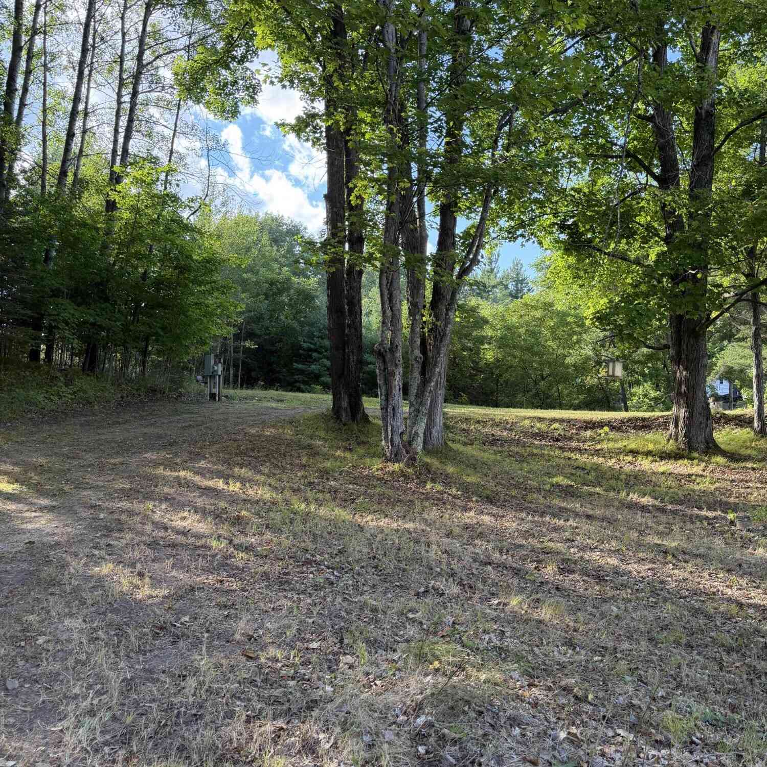 Vacant Land For Sale - N14863 Lanfear<br/> Marinette County, Amberg, WI 54102