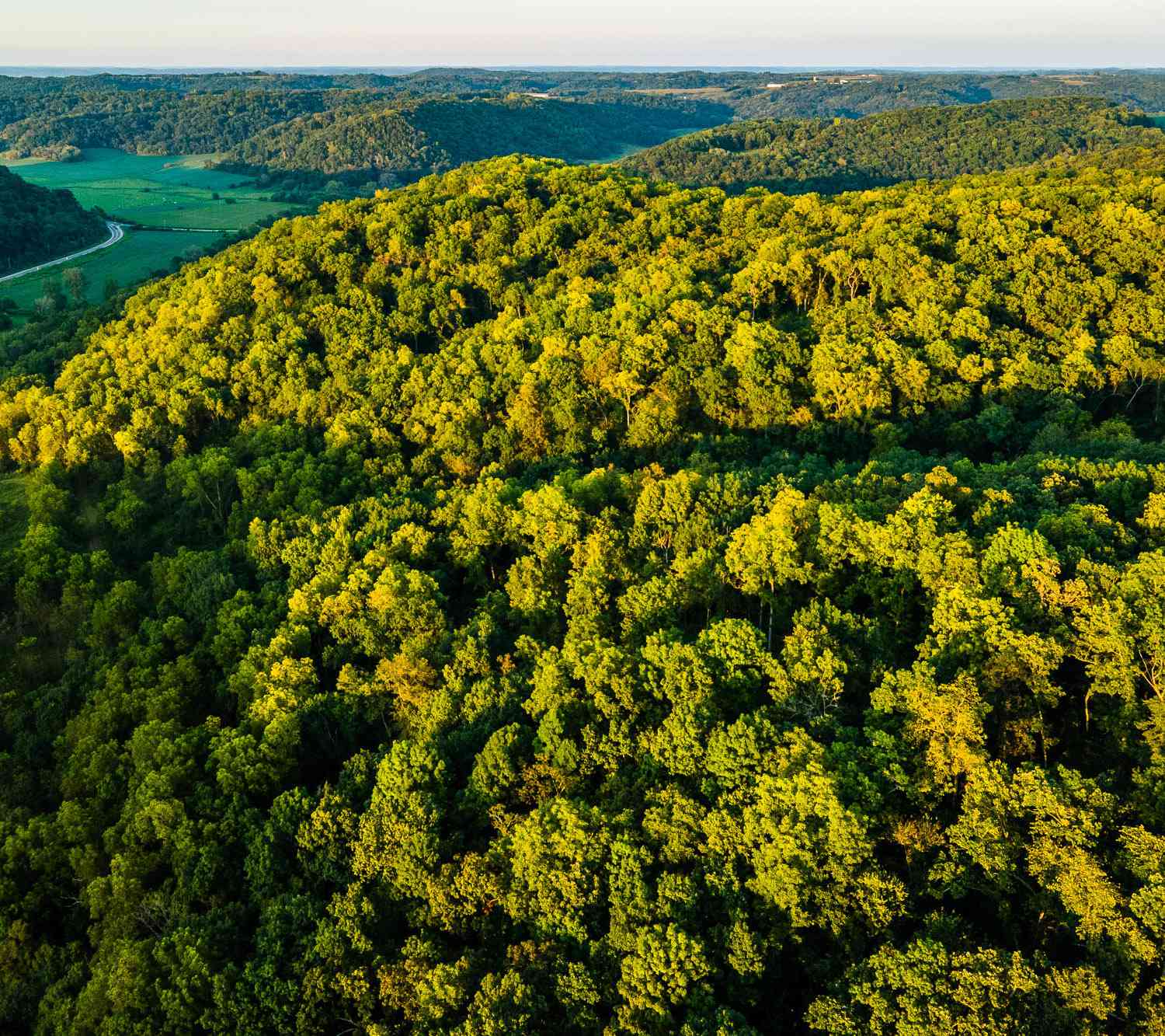 Vacant Land For Sale - 6833 State Road 80<br/> Pulaski, WI 53506
