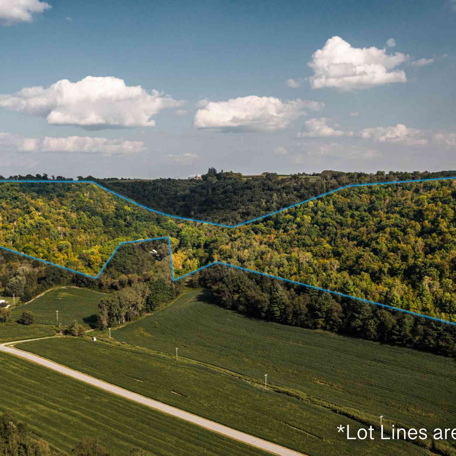 Vacant Land For Sale - Cedar Valley<br/> Vernon County, Chaseburg, WI 54621