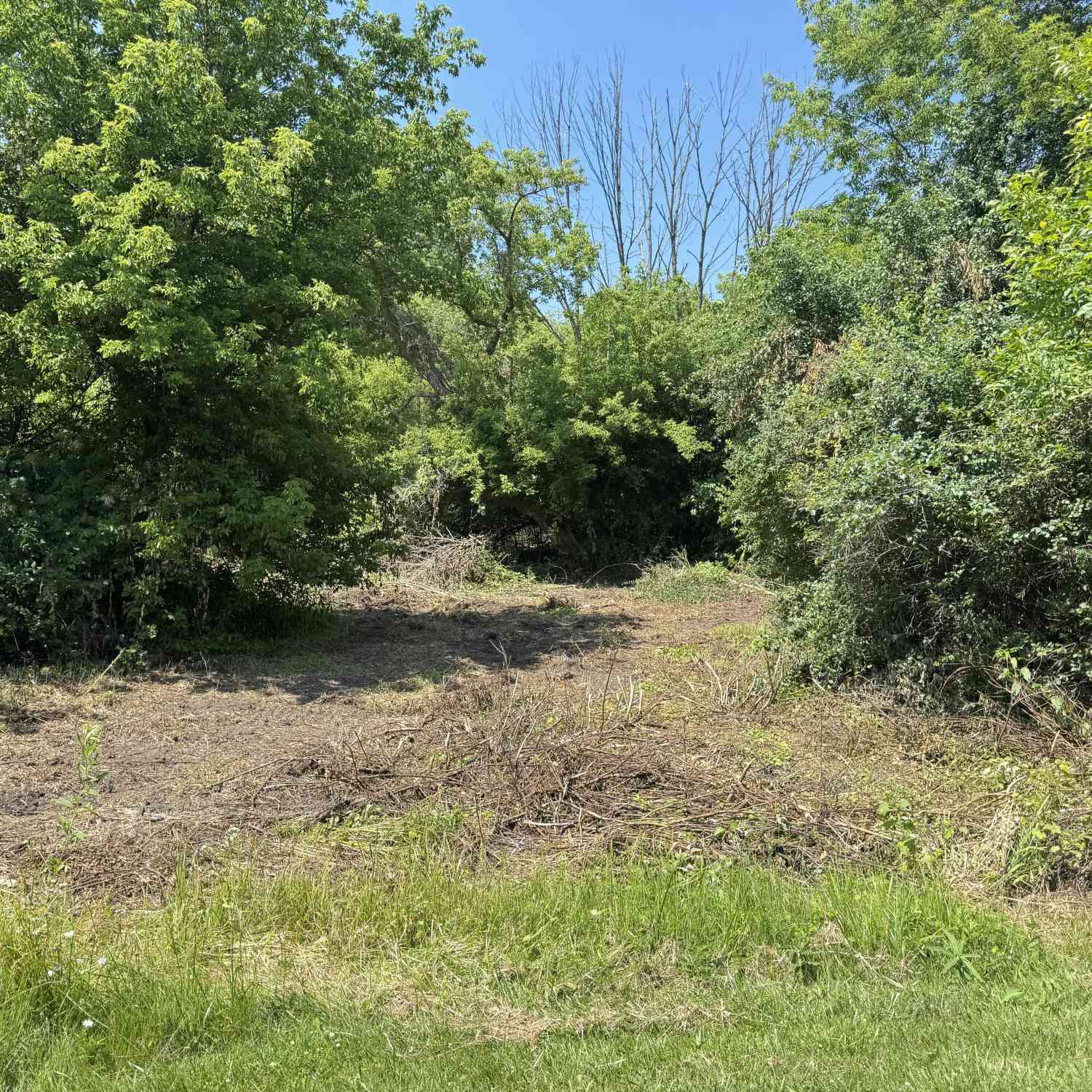 Vacant Land For Sale - LT1 Northwoods<br/> Port Washington, WI 53074