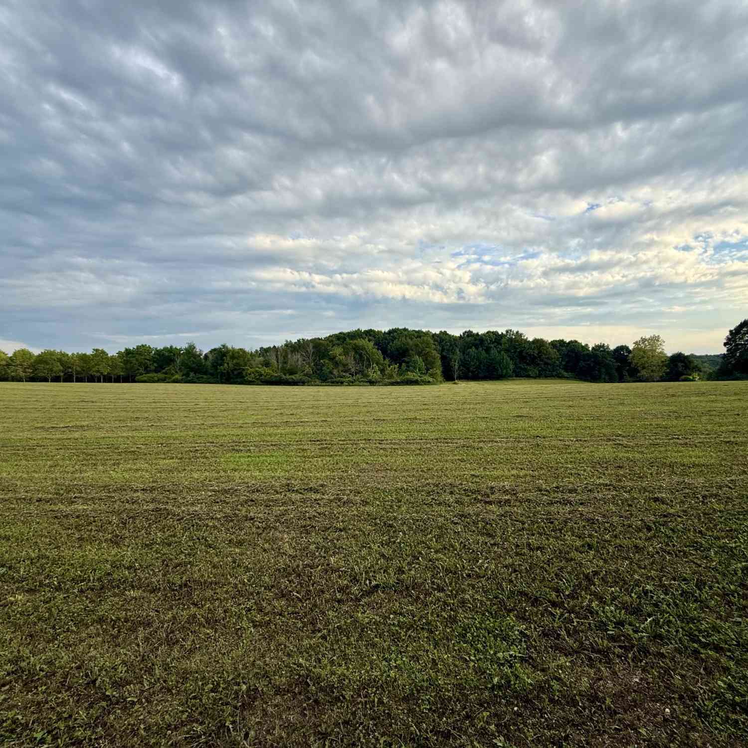 Vacant Land For Sale - LT2 Center<br/> Greenbush, WI 53026