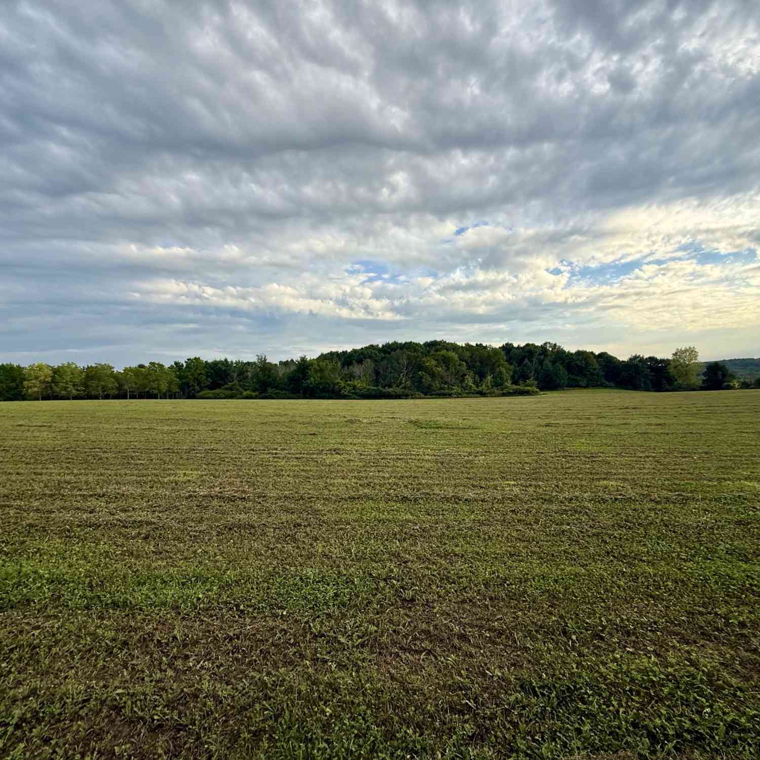 Vacant Land For Sale - LT3 Center<br/> Greenbush, WI 53026