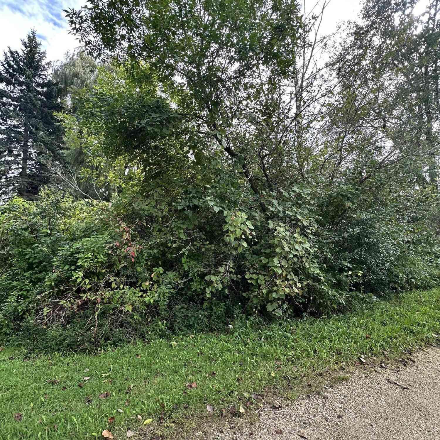 Vacant Land For Sale - LT11 B 9 103rd<br/> Pleasant Prairie, WI 53158