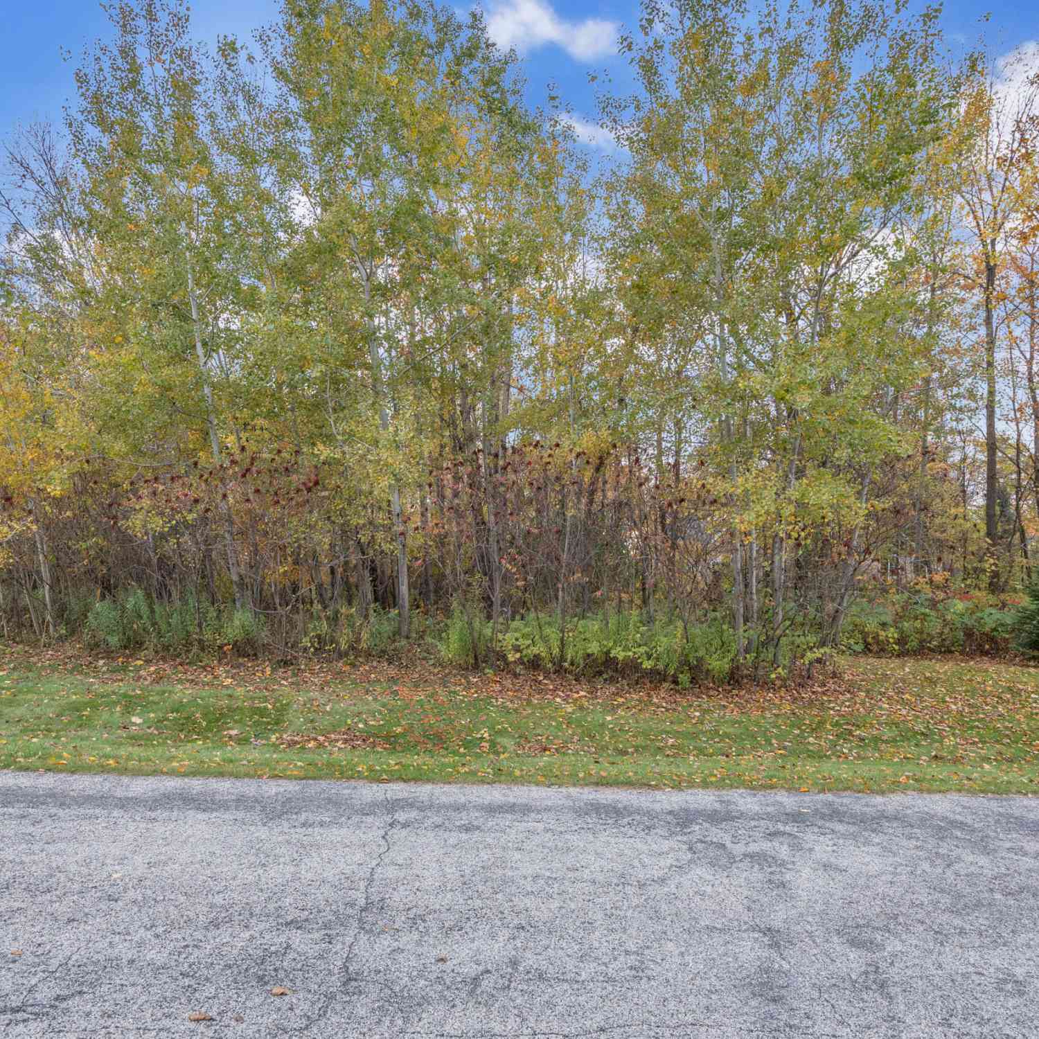Vacant Land For Sale - LT28 Big Ben<br/> Osceola, WI 53019