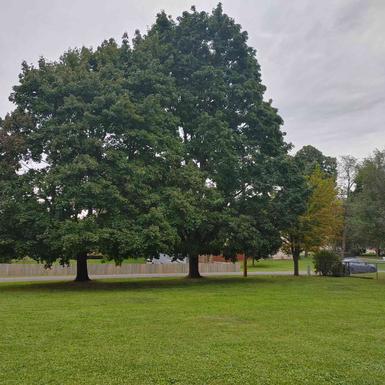 Vacant Land For Sale - LT2 Pine<br/> Bloomfield, WI 53128