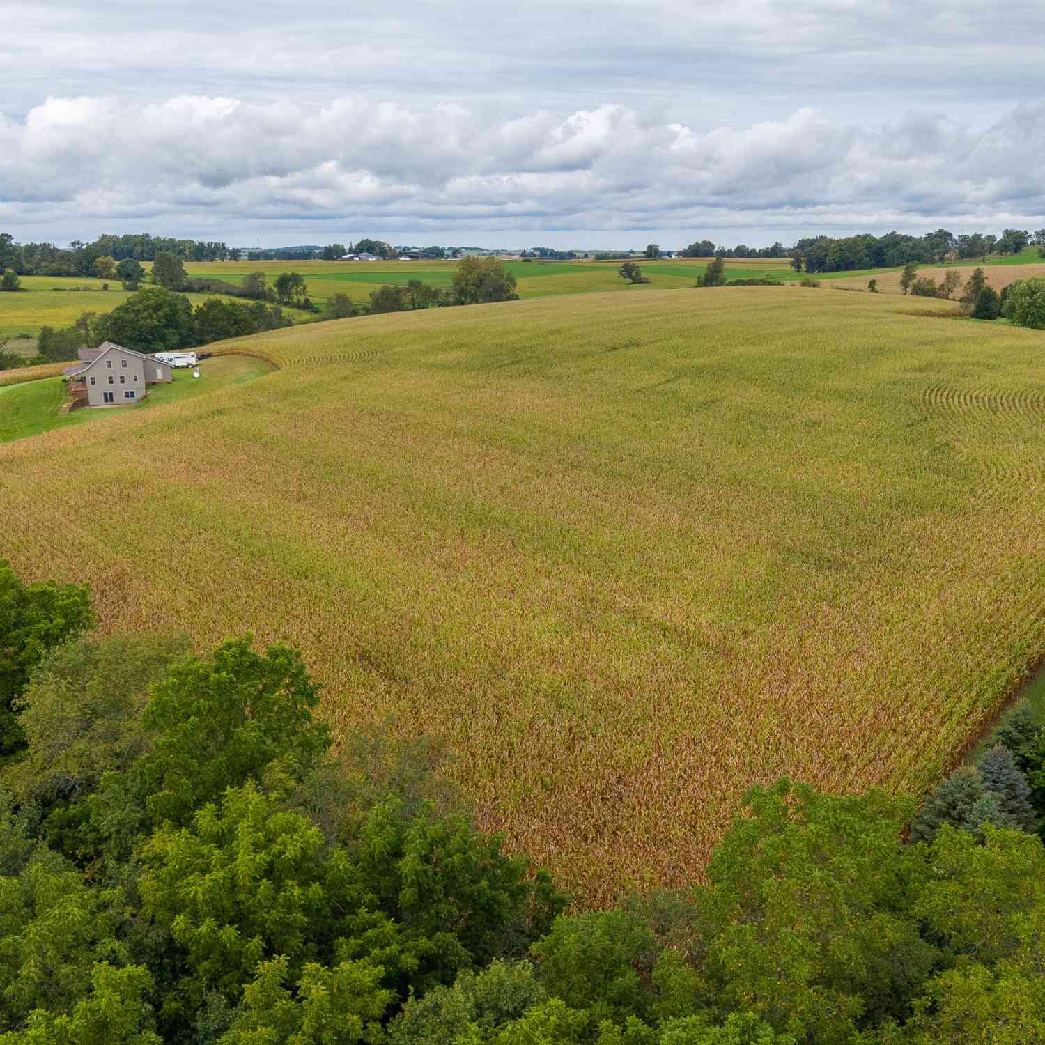 Vacant Land For Sale - LOT 1 Seas Branch<br/> Viroqua, WI 54665