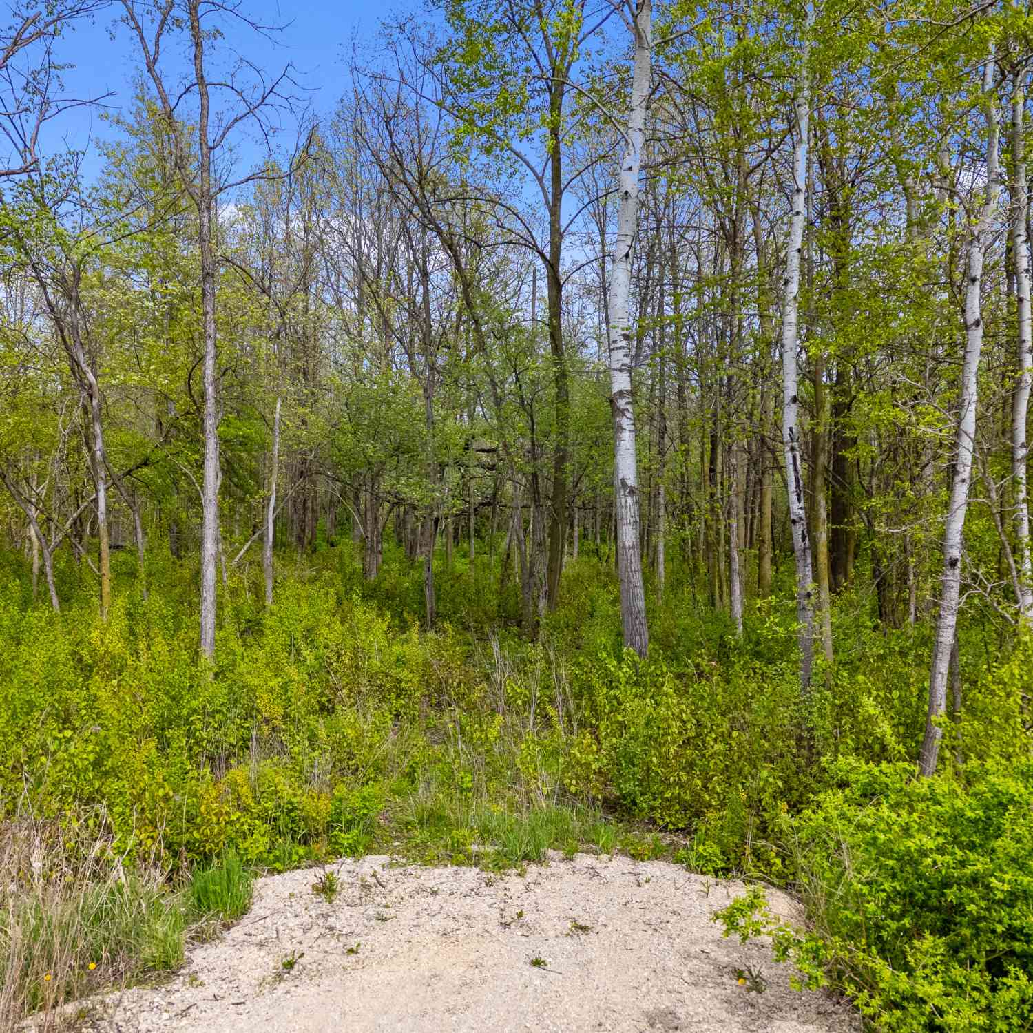 Vacant Land For Sale - LT0 County Road B<br/> Belgium, WI 53004