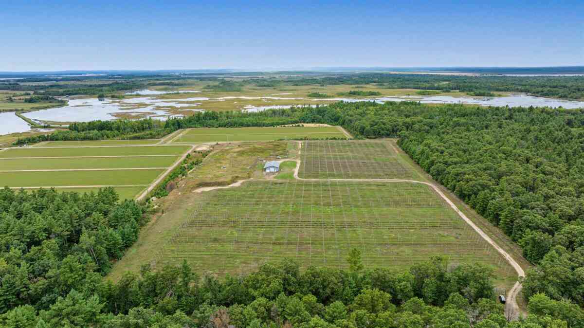Vacant Land For Sale - N4085 Cranberry<br/> Bear Bluff, WI 54666