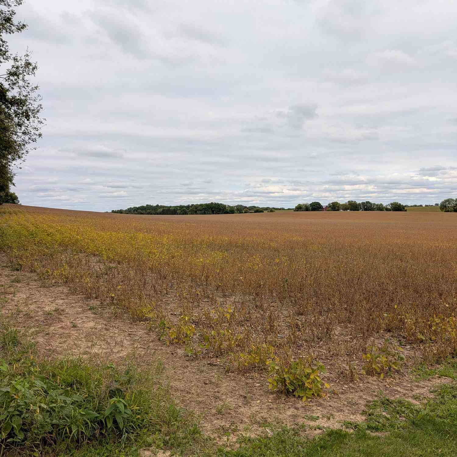 Vacant Land For Sale - LT0 Faville<br/> Lake Mills, WI 53551