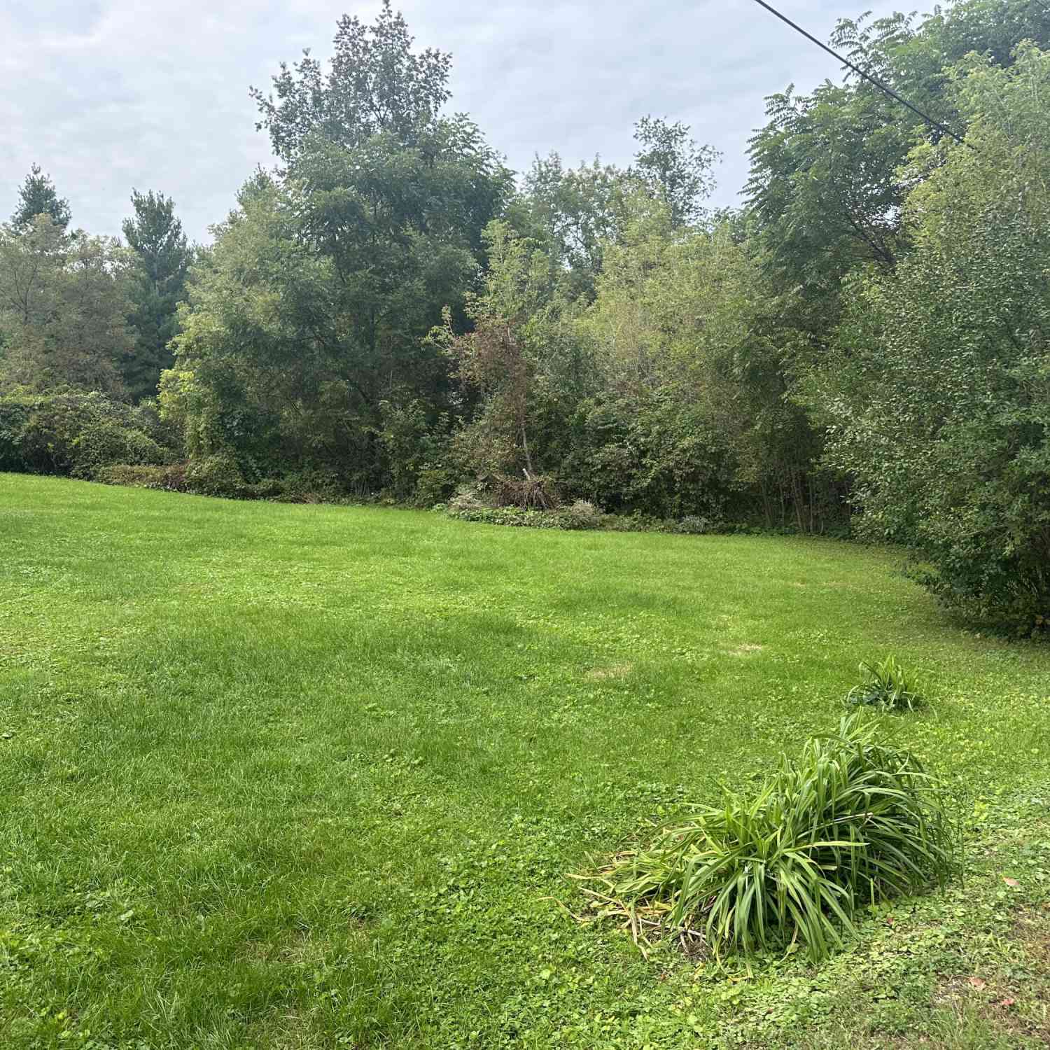 Vacant Land For Sale - N2411 Loverture<br/> Bloomfield, WI 53105