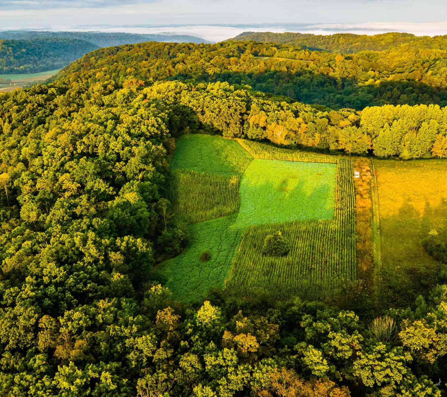 Vacant Land For Sale - LT0 Sand Branch<br/> Muscoda, WI 53573