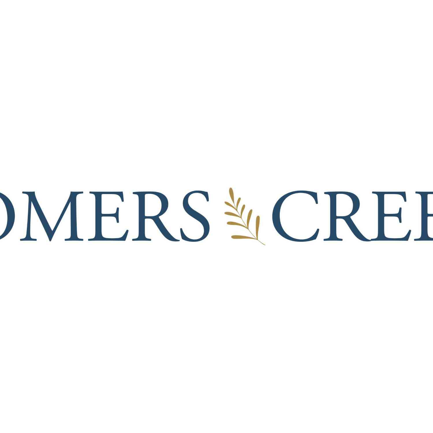Vacant Land For Sale - LT16 Willow Creek<br/> Somers, WI 53144