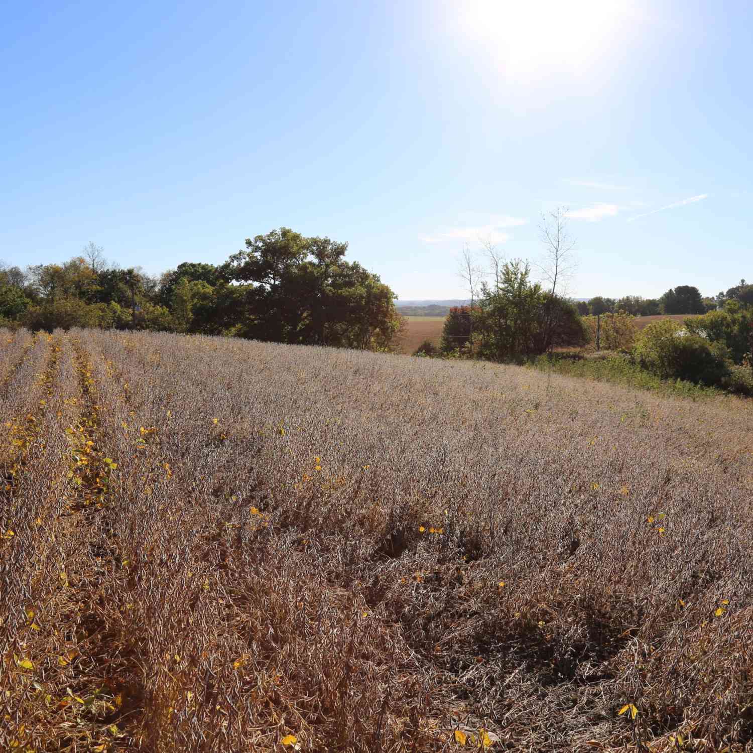 Vacant Land For Sale - 000 Gaslight<br/> Monroe County, Sparta, WI 54656