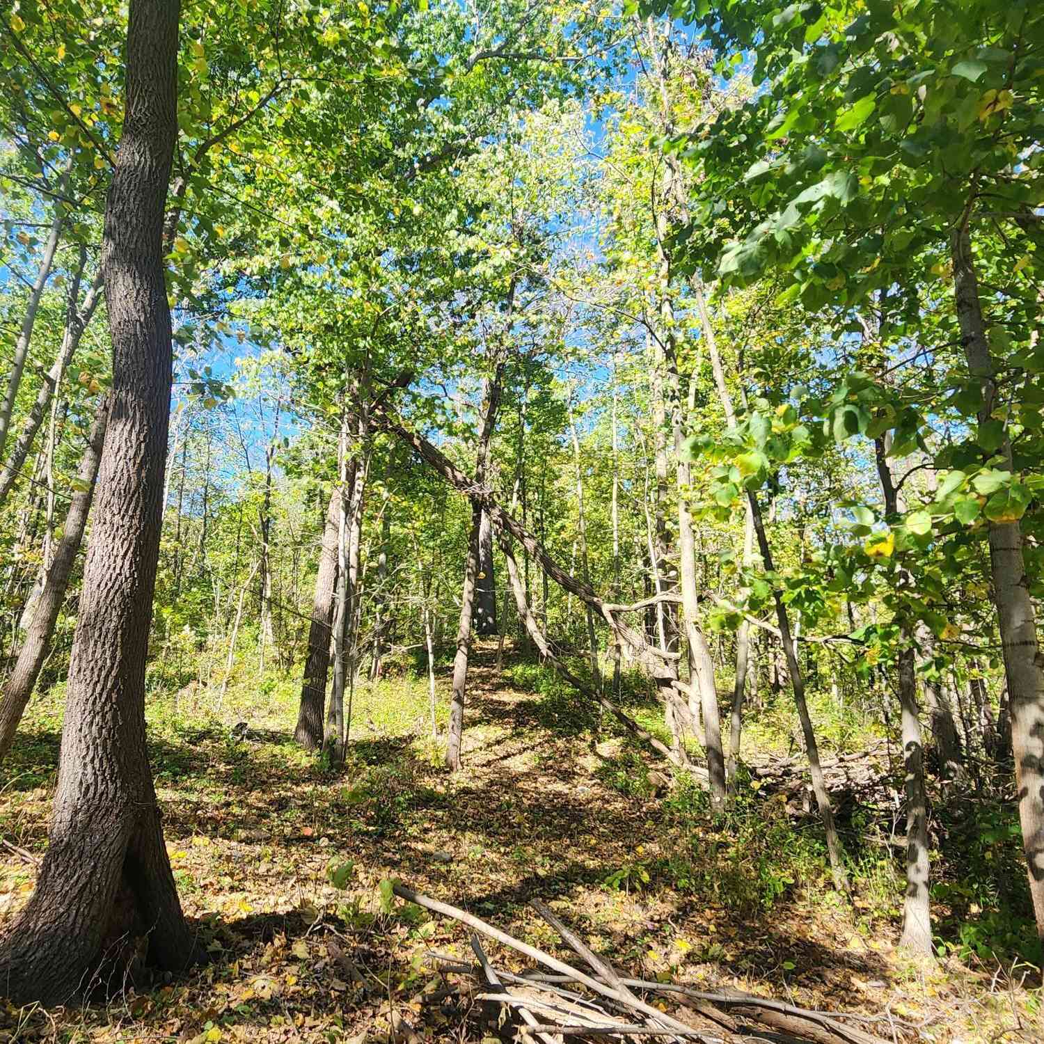 Vacant Land For Sale - LOT0 312th<br/> Kenosha County, Brighton, WI 53139