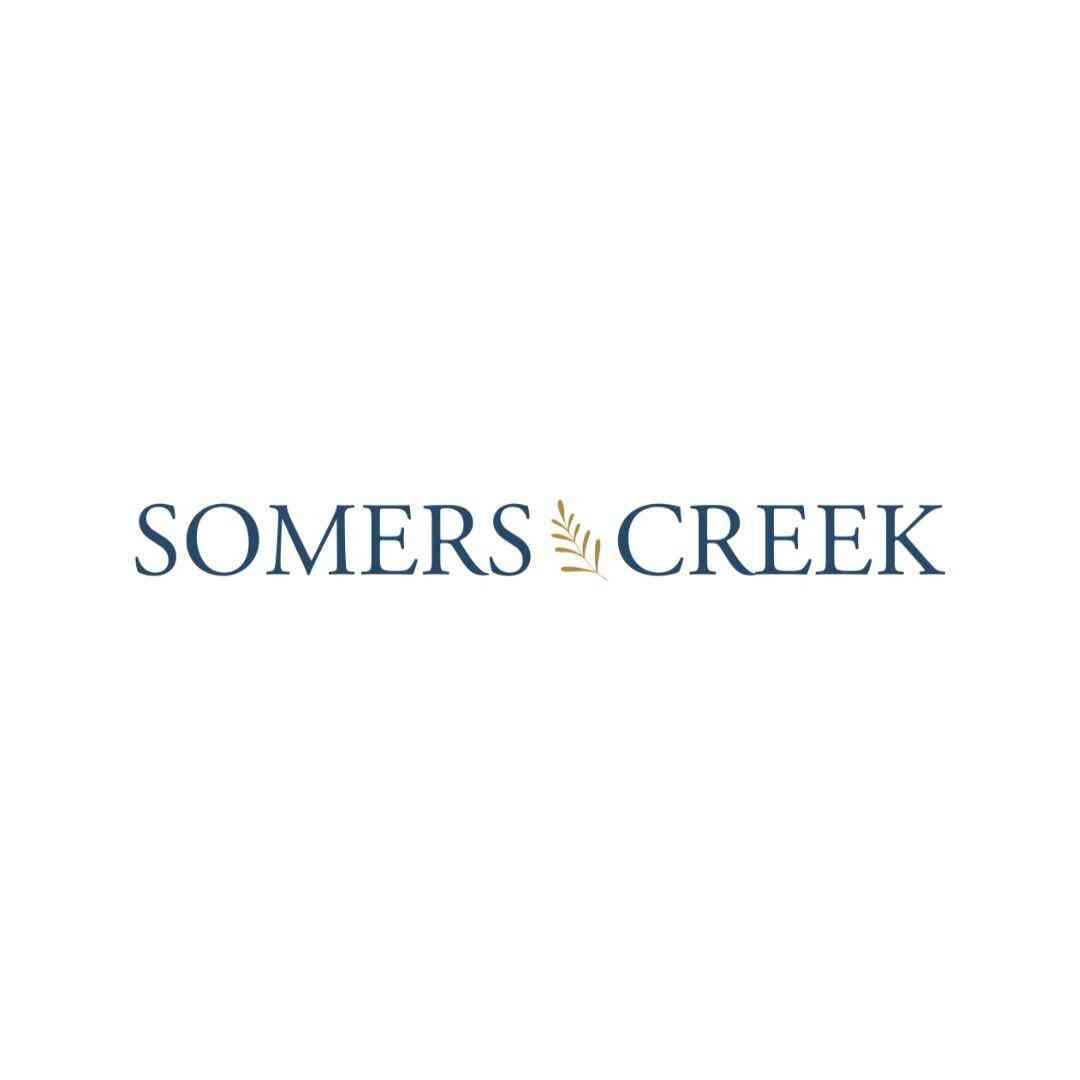 Vacant Land For Sale - LT41 Willow Creek<br/> Kenosha County, Somers, WI 53144