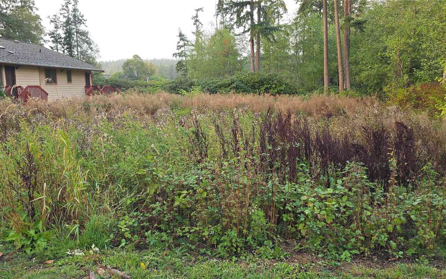 Slider Thumb