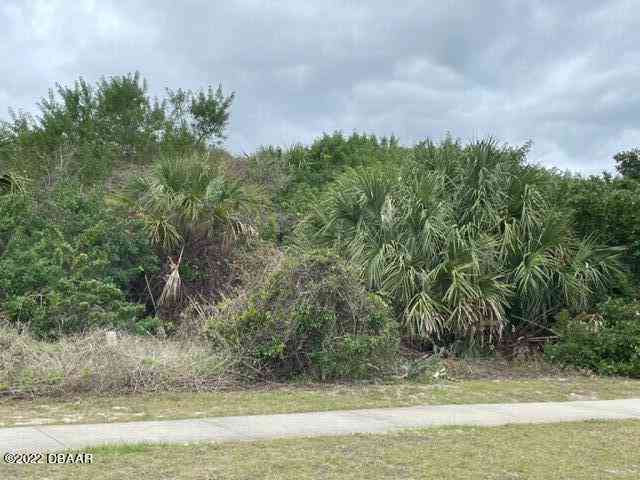 Vacant Land For Sale - 4572 S Peninsula Drive<br/> Ponce Inlet, FL 32127