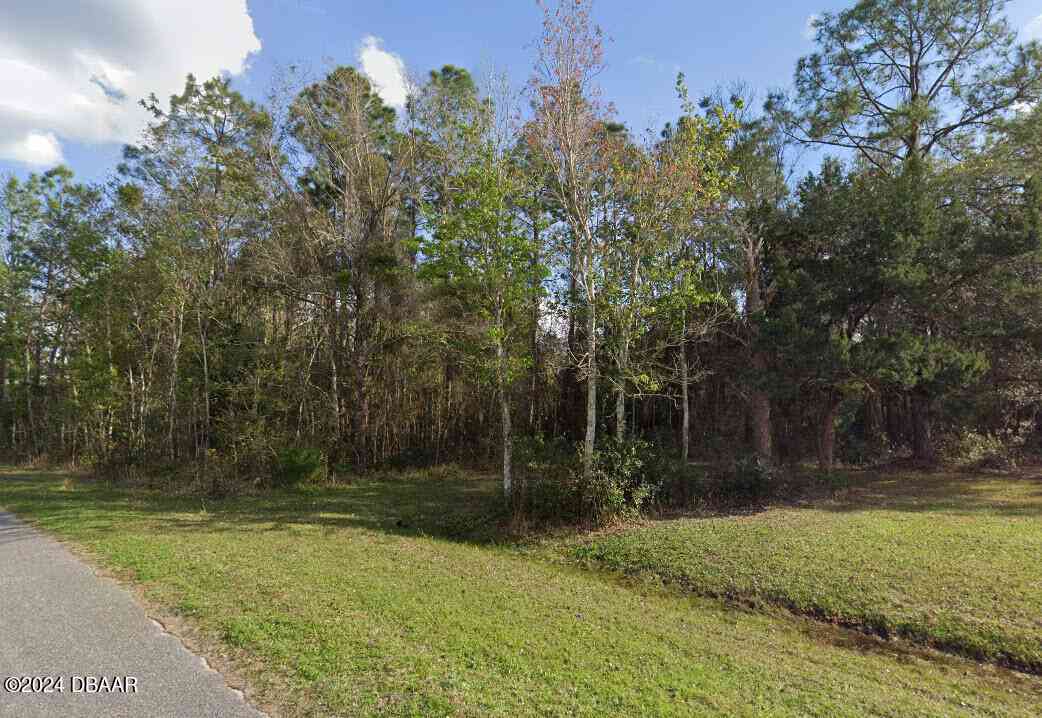 Vacant Land For Sale - 257 Harbor Drive<br/> Palatka, FL 32177