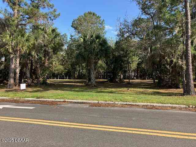 Vacant Land For Sale - Shell Harbor Road<br/> Pierson, FL 32180