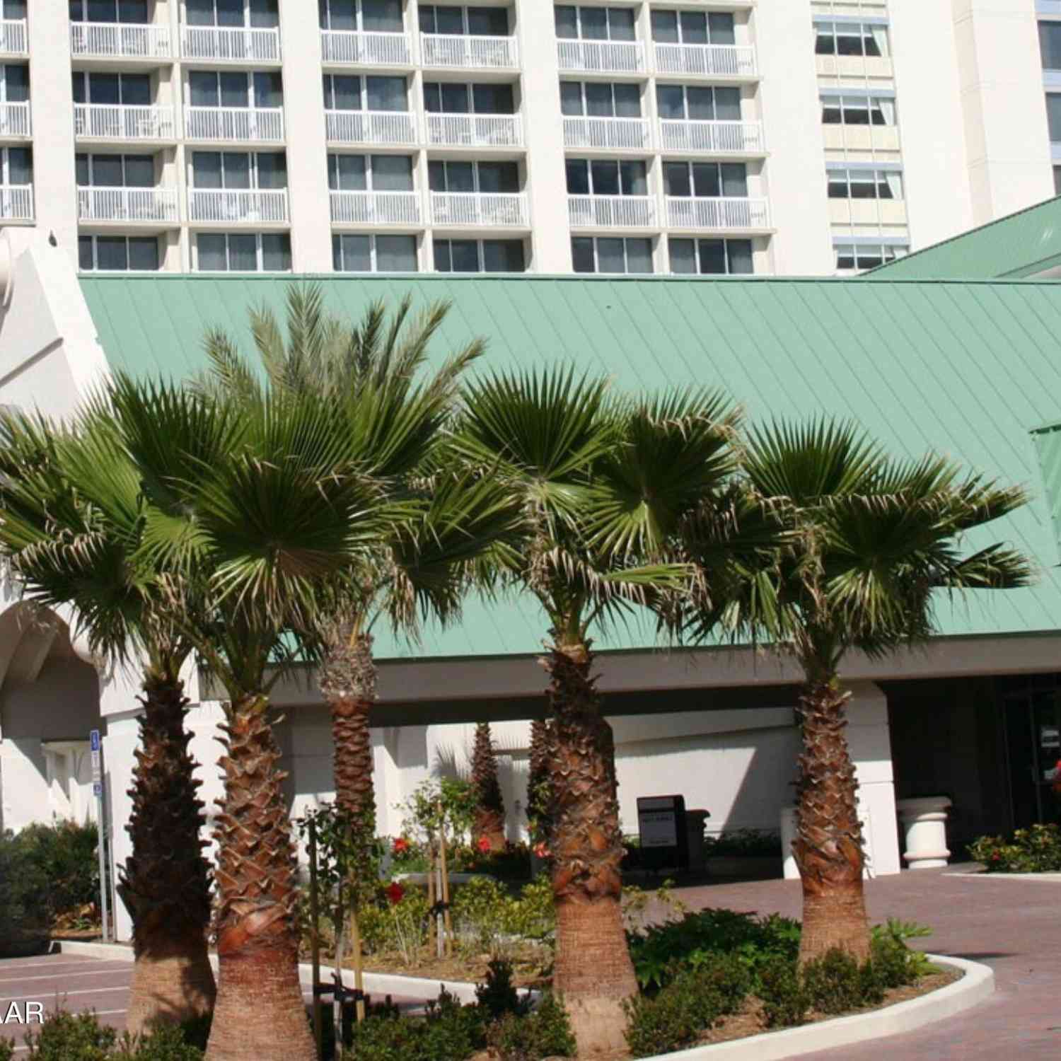 Condo For Sale - 2700 N Atlantic Avenue #1219<br/> Daytona Beach, FL 32118