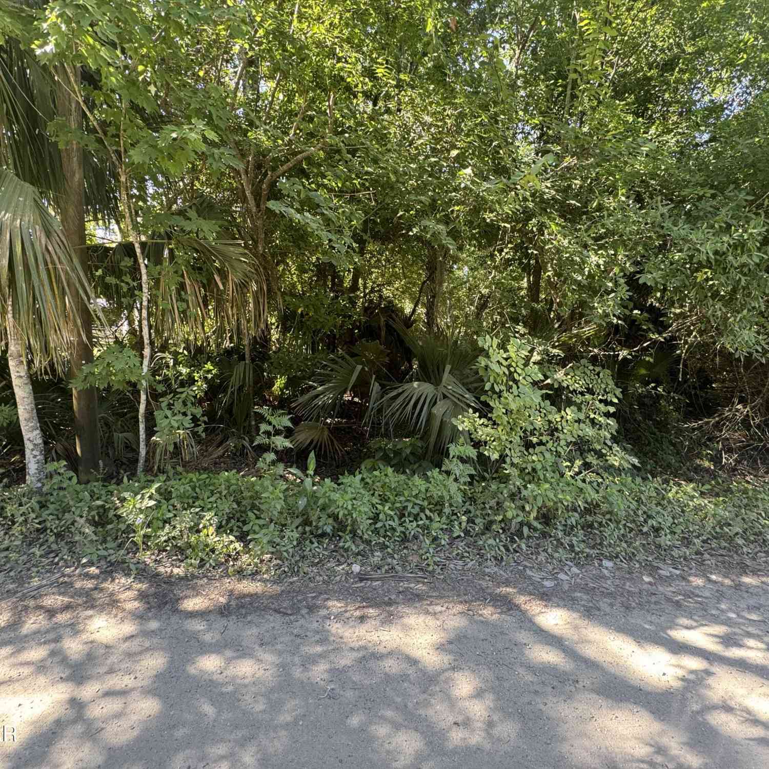 Vacant Land For Sale - 2015 Griffin Street<br/> Ormond Beach, FL 32174