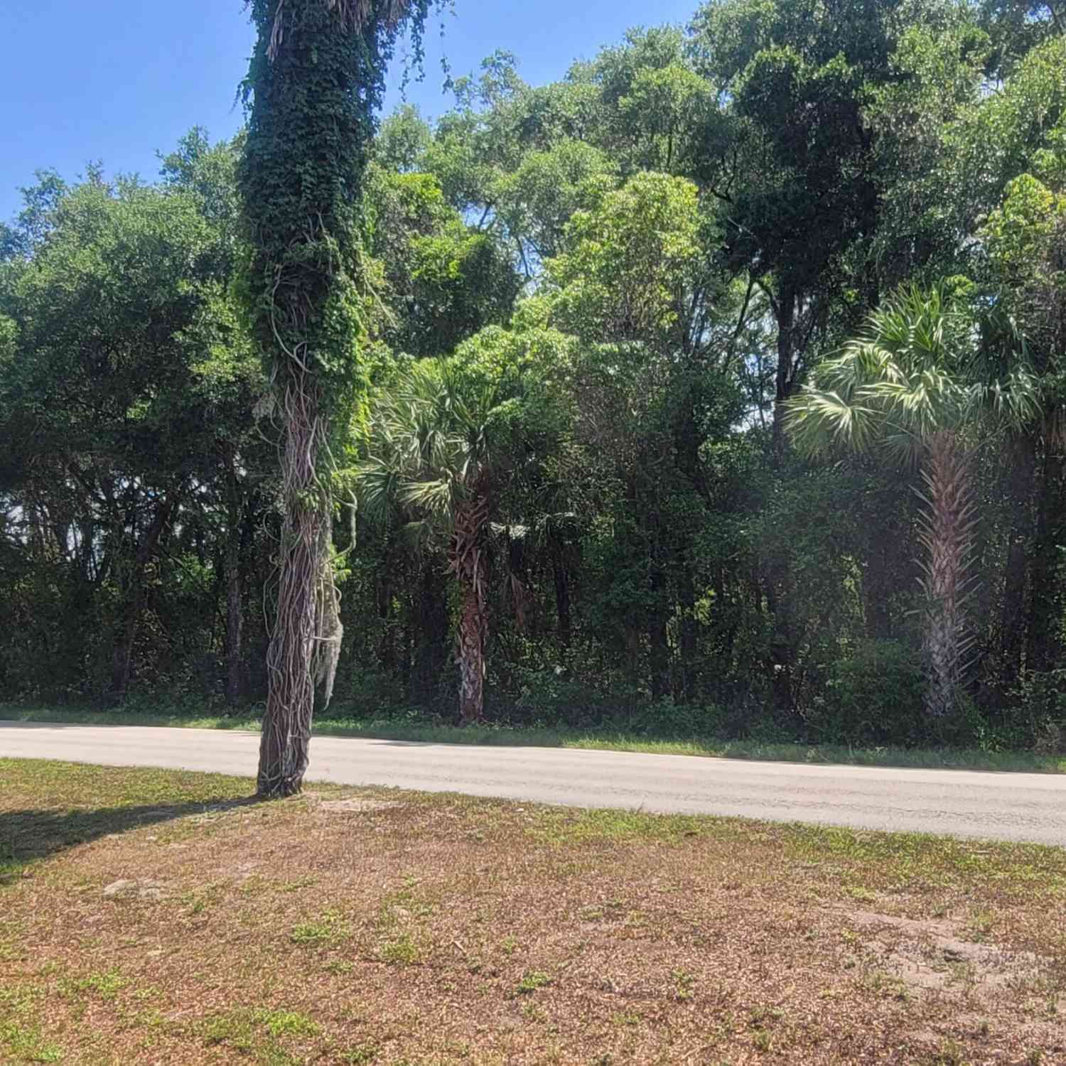 Vacant Land For Sale - S Ridgewood Avenue<br/> DeLand, FL 32720