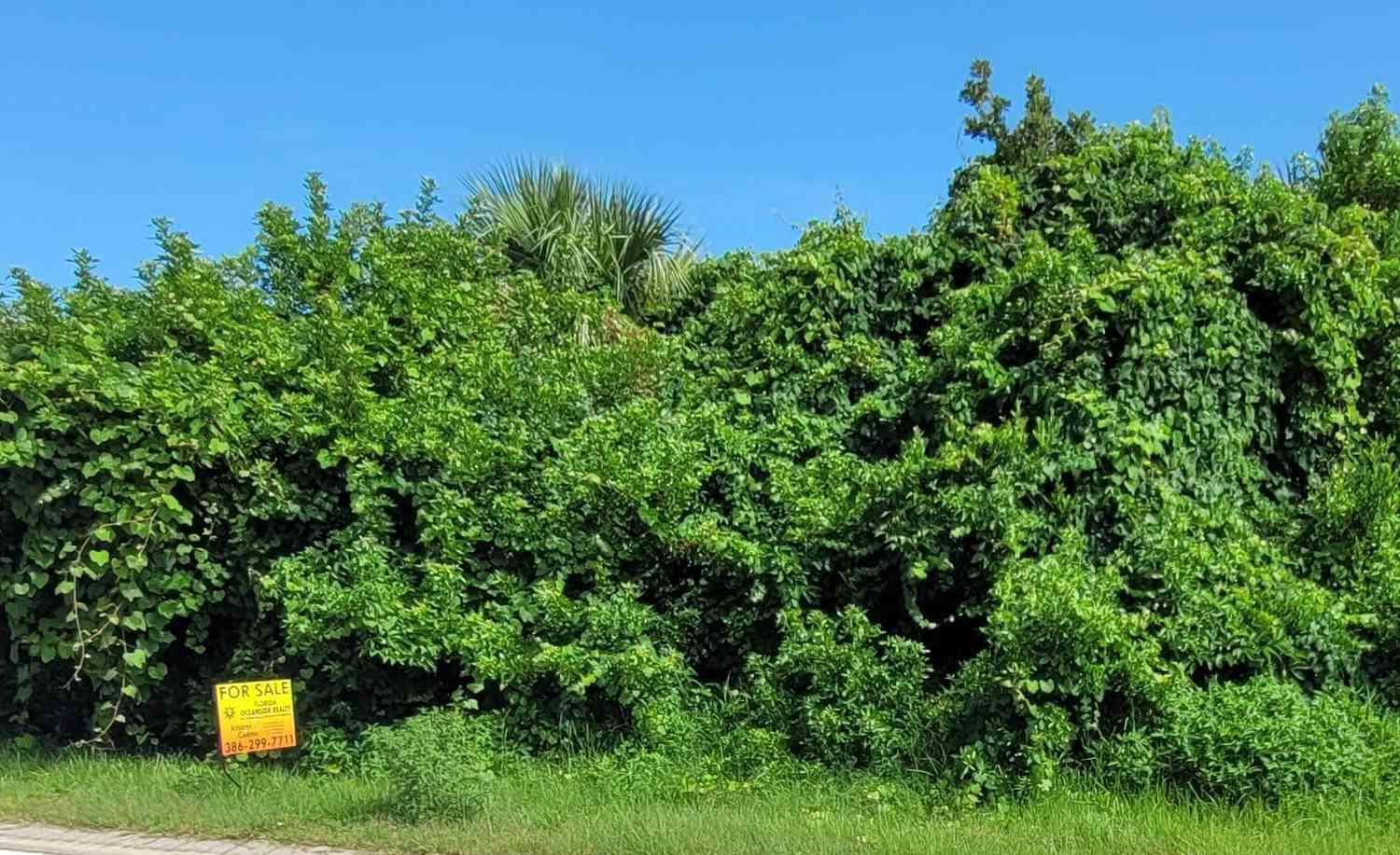 Vacant Land For Sale - 119 Capri Drive<br/> Ormond Beach, FL 32176