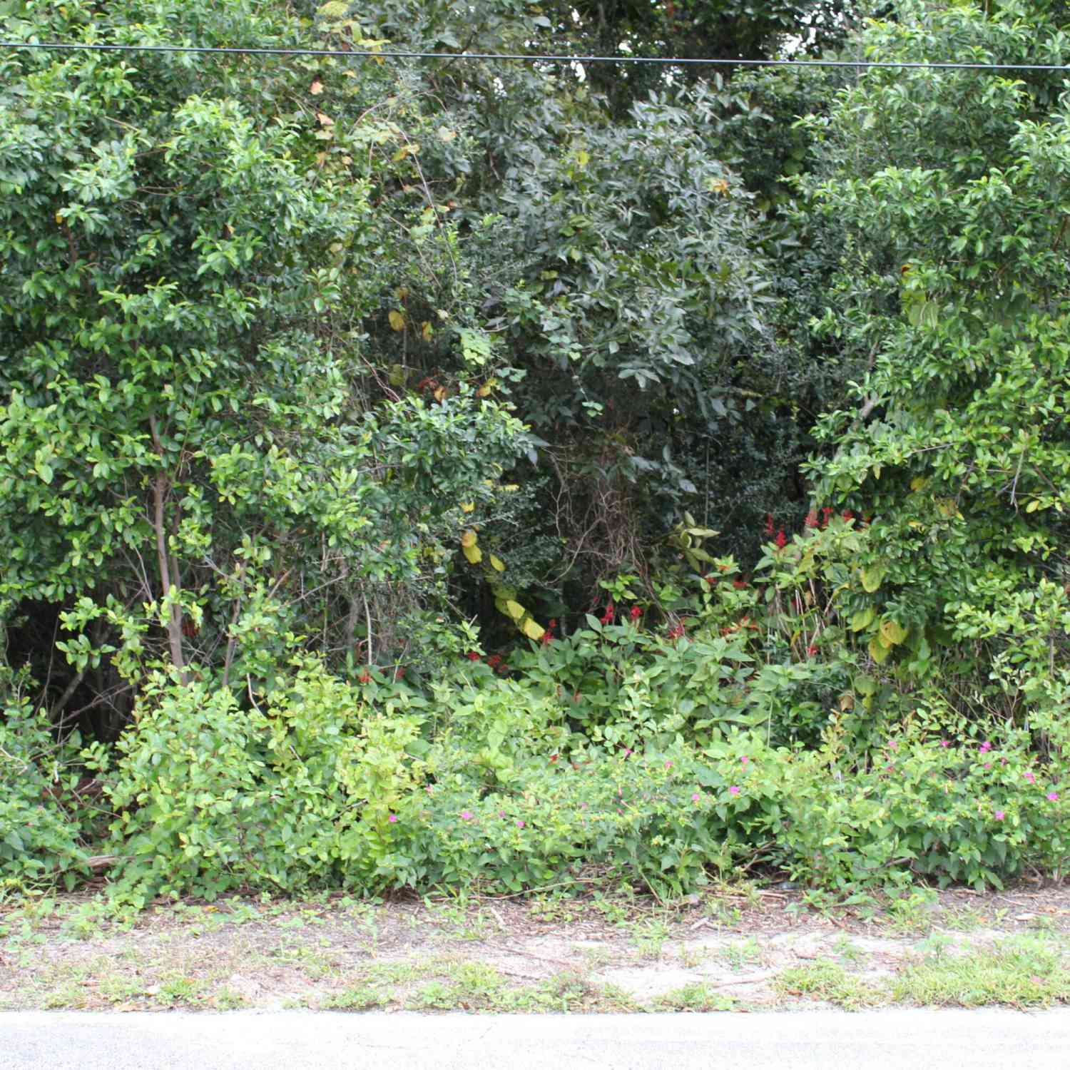 Vacant Land For Sale - 510 Fred Gamble Way<br/> Ormond Beach, FL 32174
