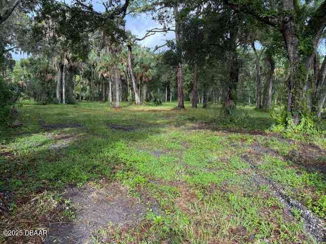 Vacant Land For Sale - Tionia Road<br/> New Smyrna Beach, FL 32168