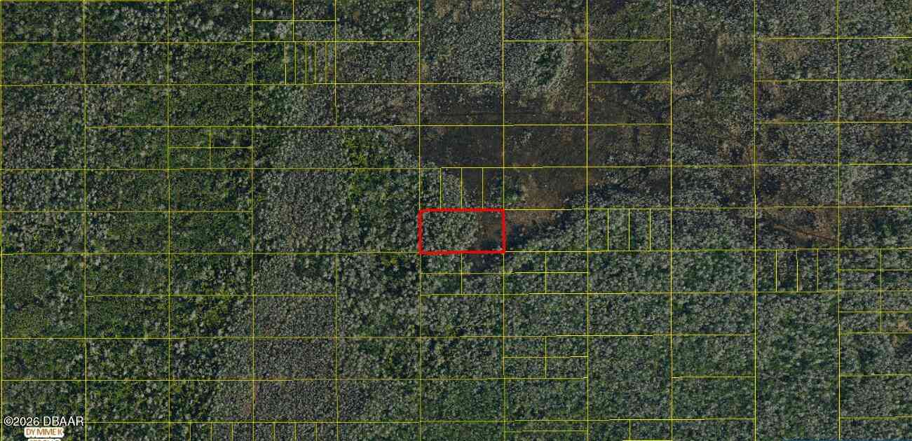 Vacant Land For Sale - Holopaw Groves Road<br/> Osceola County, Saint Cloud, FL 34772