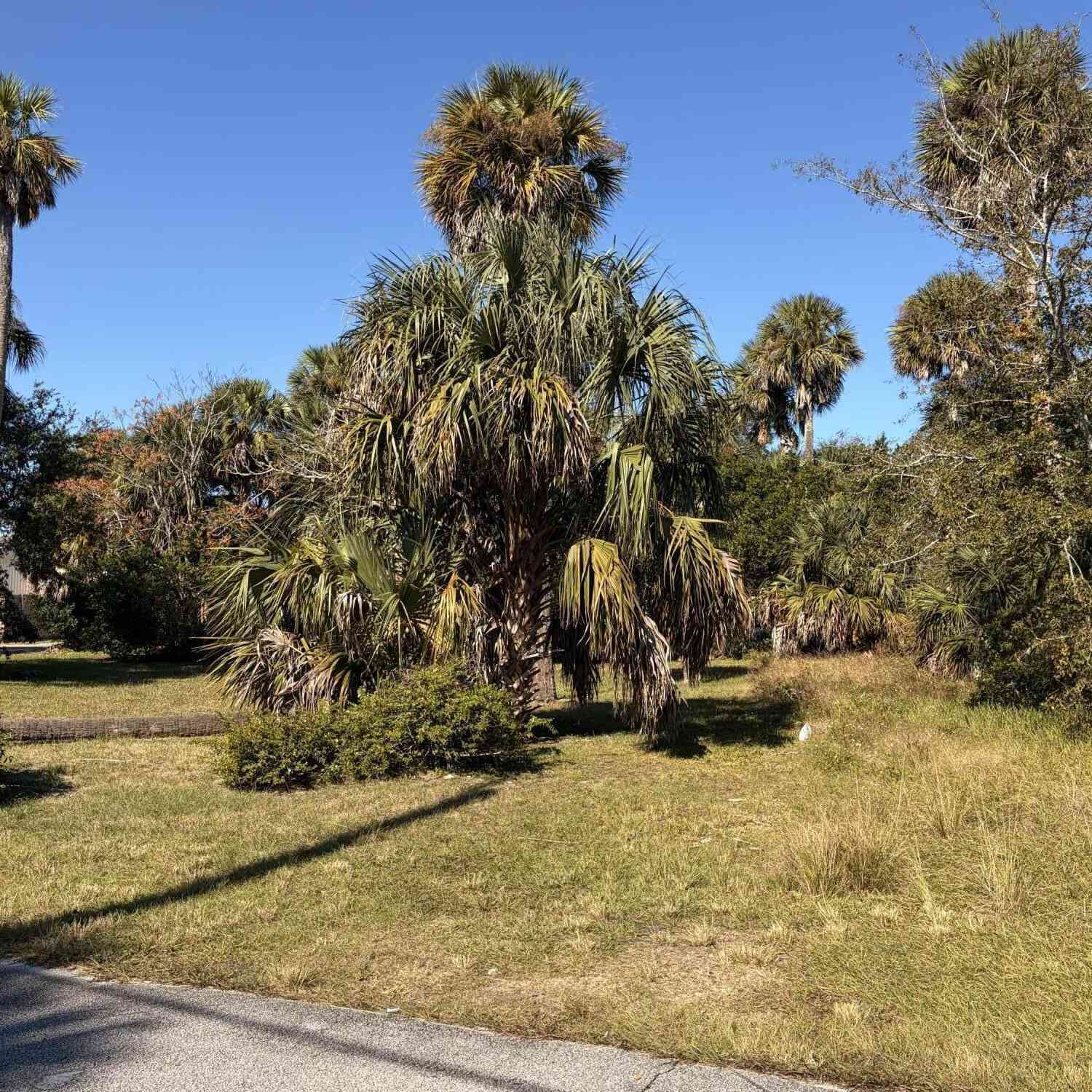 Vacant Land For Sale - 257 Laws Lane<br/> Ormond Beach, FL 32174