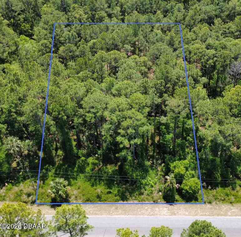 Vacant Land For Sale - Apricot Avenue<br/> Eustis, FL 32736