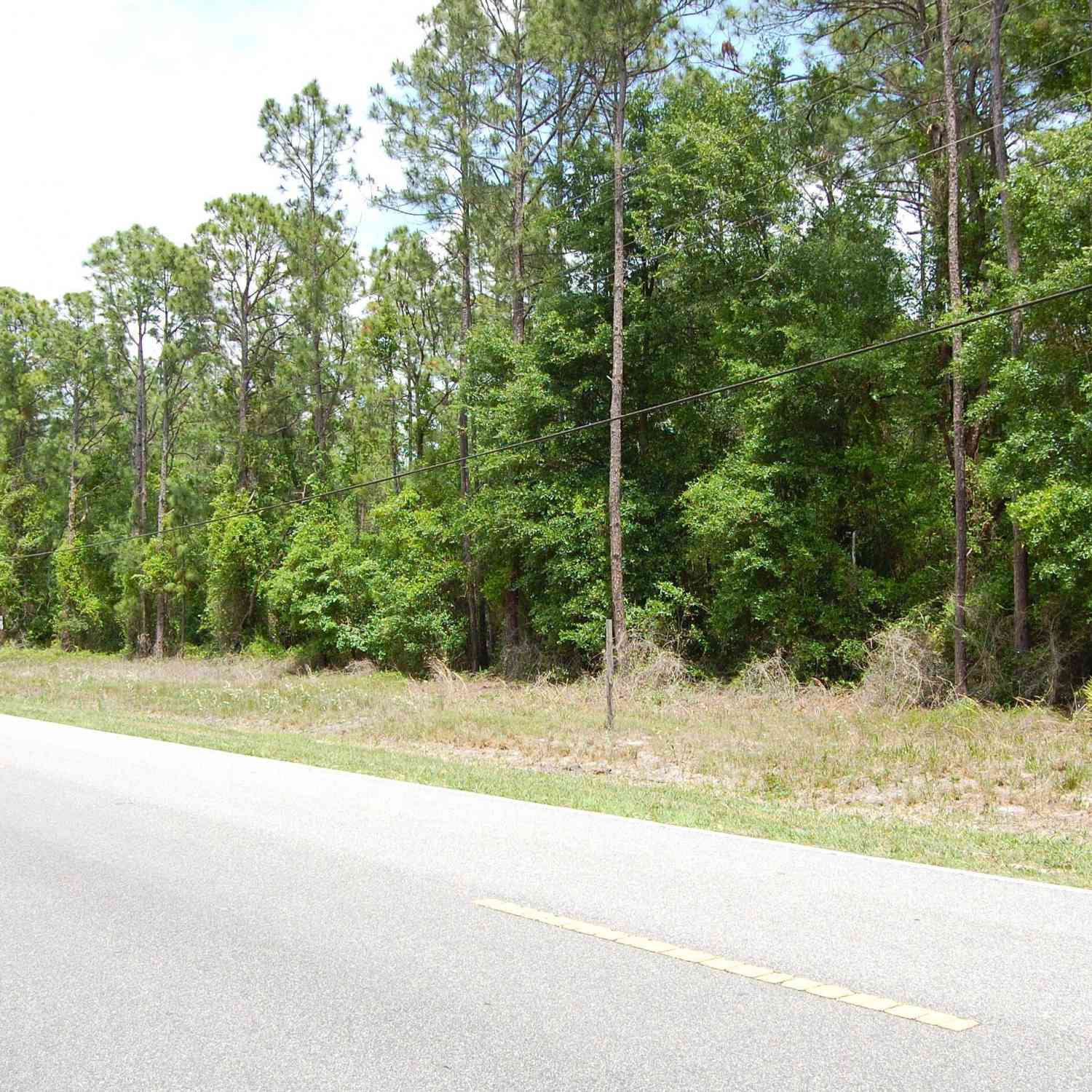 Vacant Land For Sale - 859 W River Road<br/> Palatka, FL 32177