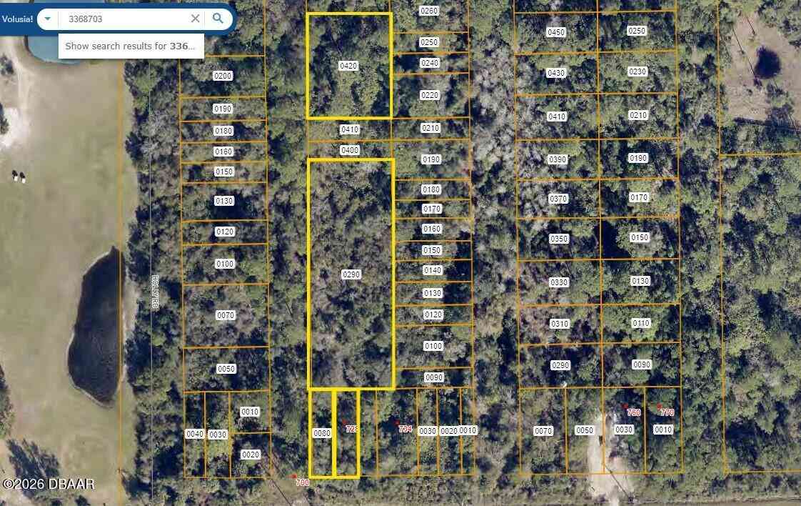 Vacant Land For Sale - 728 Osteen Maytown Road<br/> Osteen, FL 32764