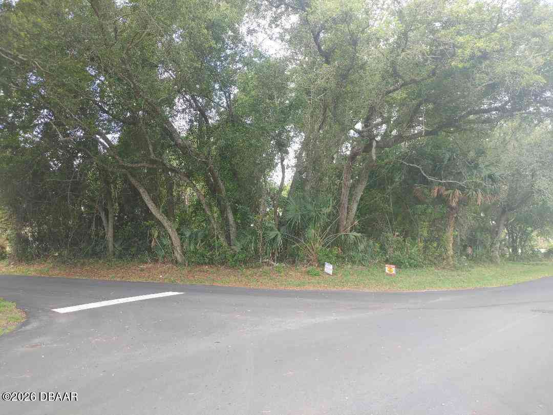 Vacant Land For Sale - 0000 Fern Palm Drive<br/> Edgewater, FL 32141