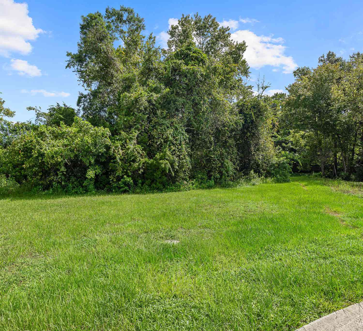Vacant Land For Sale - 1082 Yaupon Street<br/> Daytona Beach, FL 32117