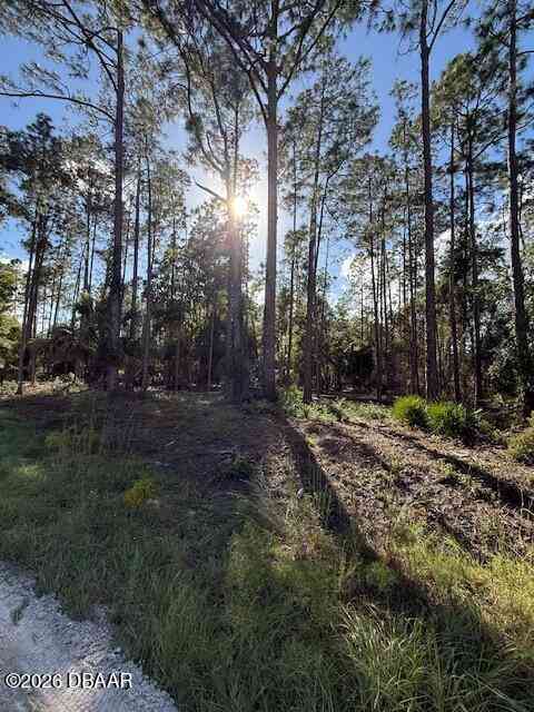 Vacant Land For Sale - 215 Hideaway Lane<br/> Georgetown, FL 32139