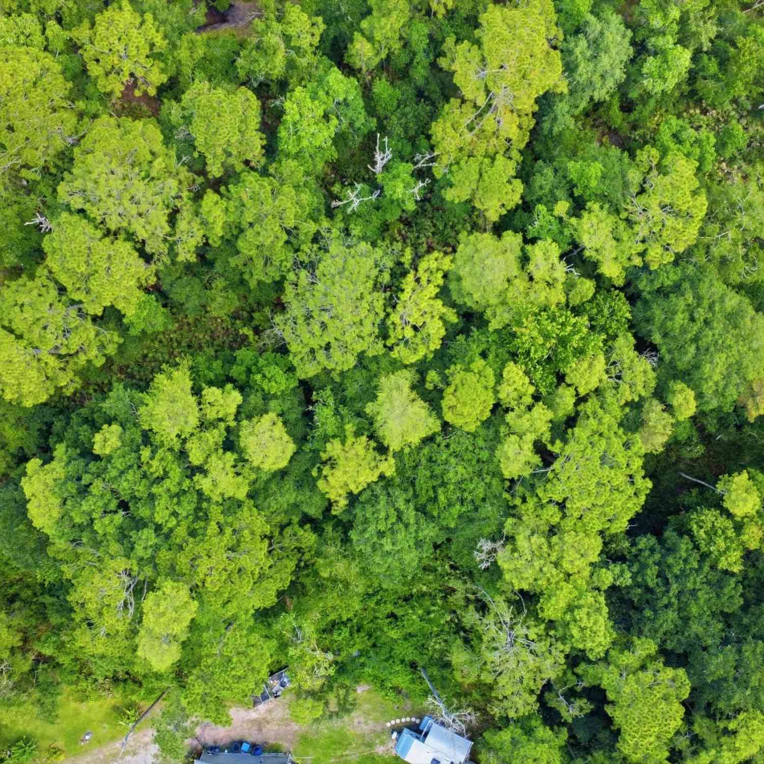 Vacant Land For Sale - 2345 9th Avenue<br/> DeLand, FL 32724