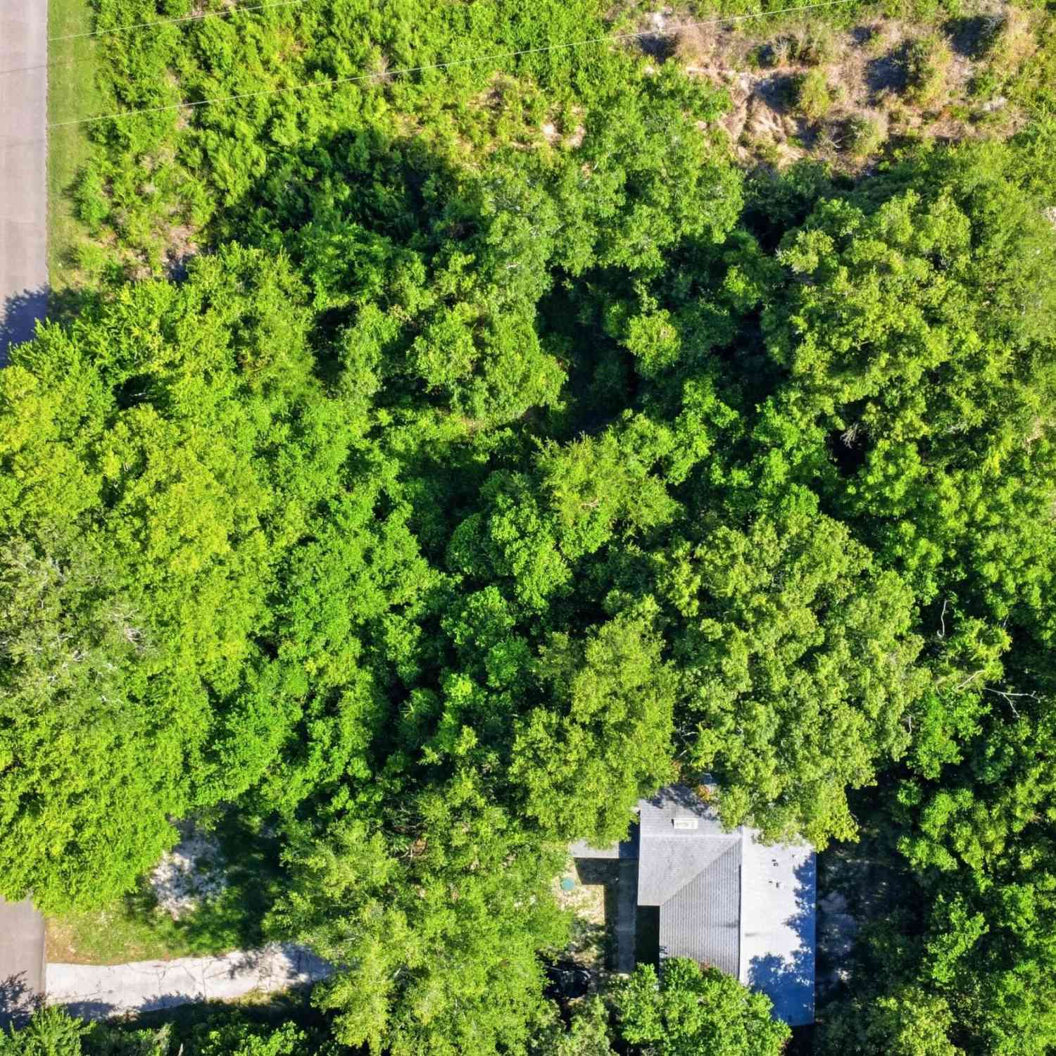 Vacant Land For Sale - 246 Clara Vista Street<br/> DeBary, FL 32713
