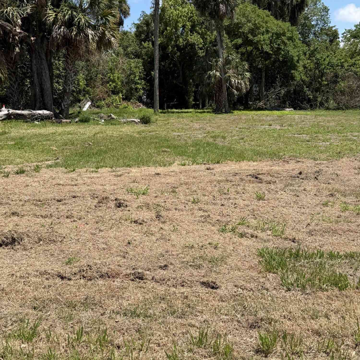 Vacant Land For Sale - 535 Oak Street<br/> Daytona Beach, FL 32114