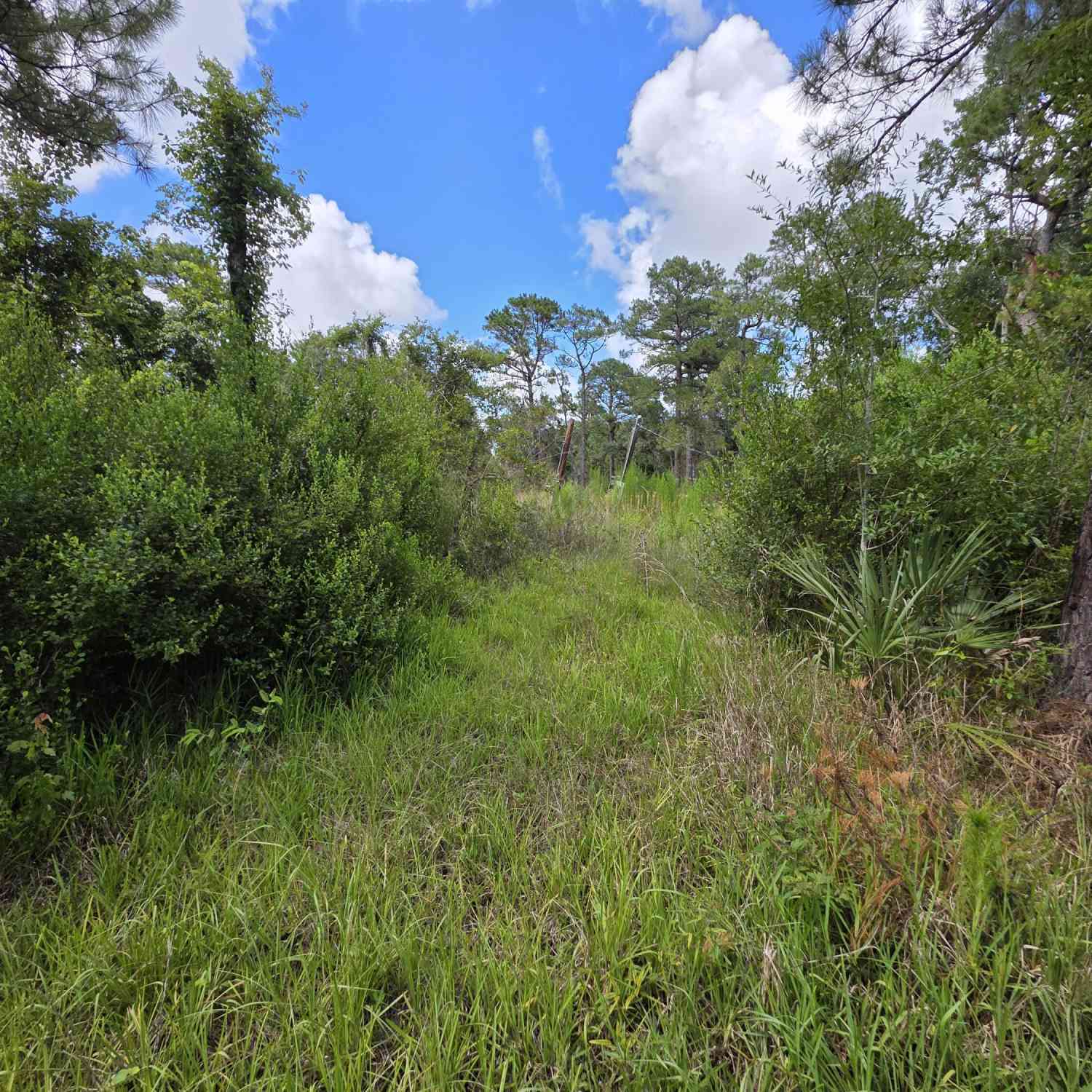 Vacant Land For Sale - 4863 Meadow Green Road<br/> Mims, FL 32754