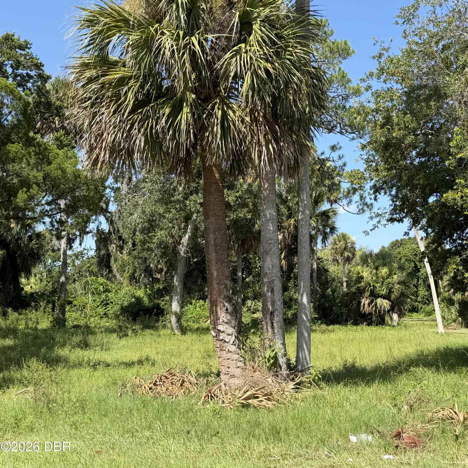 Vacant Land For Sale - 510-512 N Segrave Street<br/> Daytona Beach, FL 32114