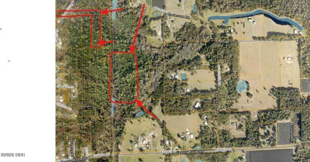 Vacant Land For Sale - Raulerson Road<br/> Seville, FL 32190
