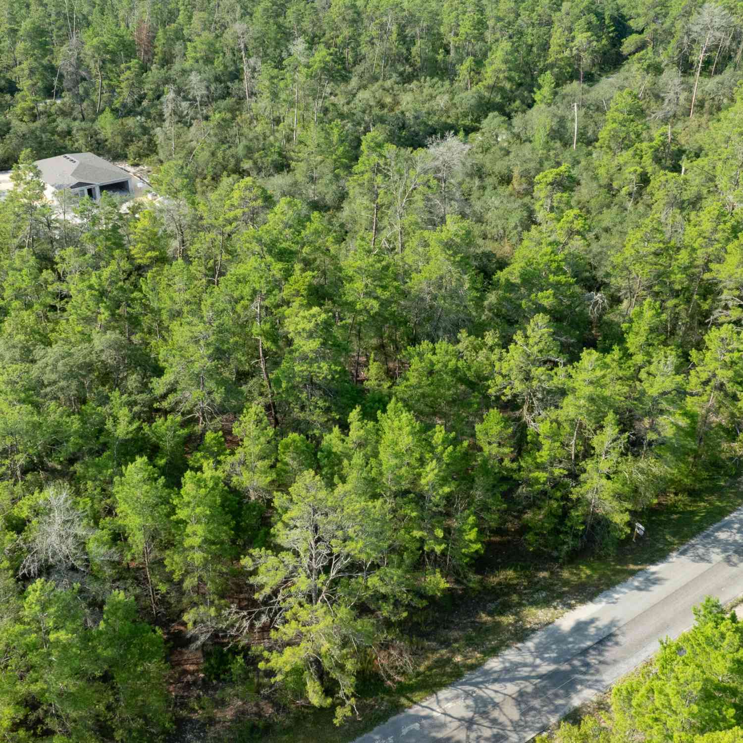 Vacant Land For Sale - 26 Fisher Trail Terrace<br/> Marion County, Ocklawaha, FL 32179