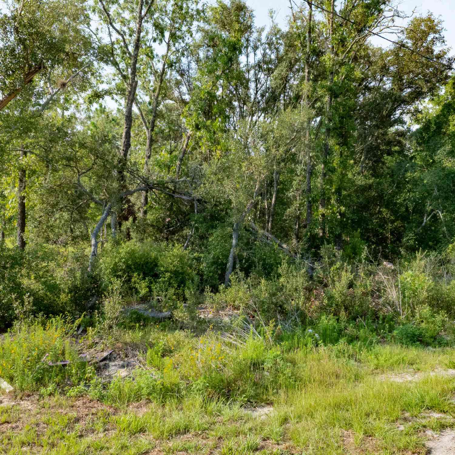 Vacant Land For Sale - 48 Fisher Lane Course<br/> Marion County, Ocklawaha, FL 32179