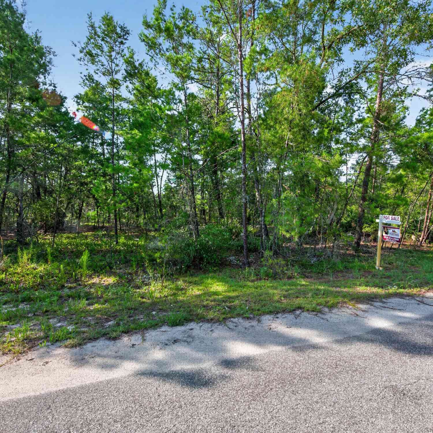 Vacant Land For Sale - 3 Guava Pass<br/> Marion County, Ocklawaha, FL 32179