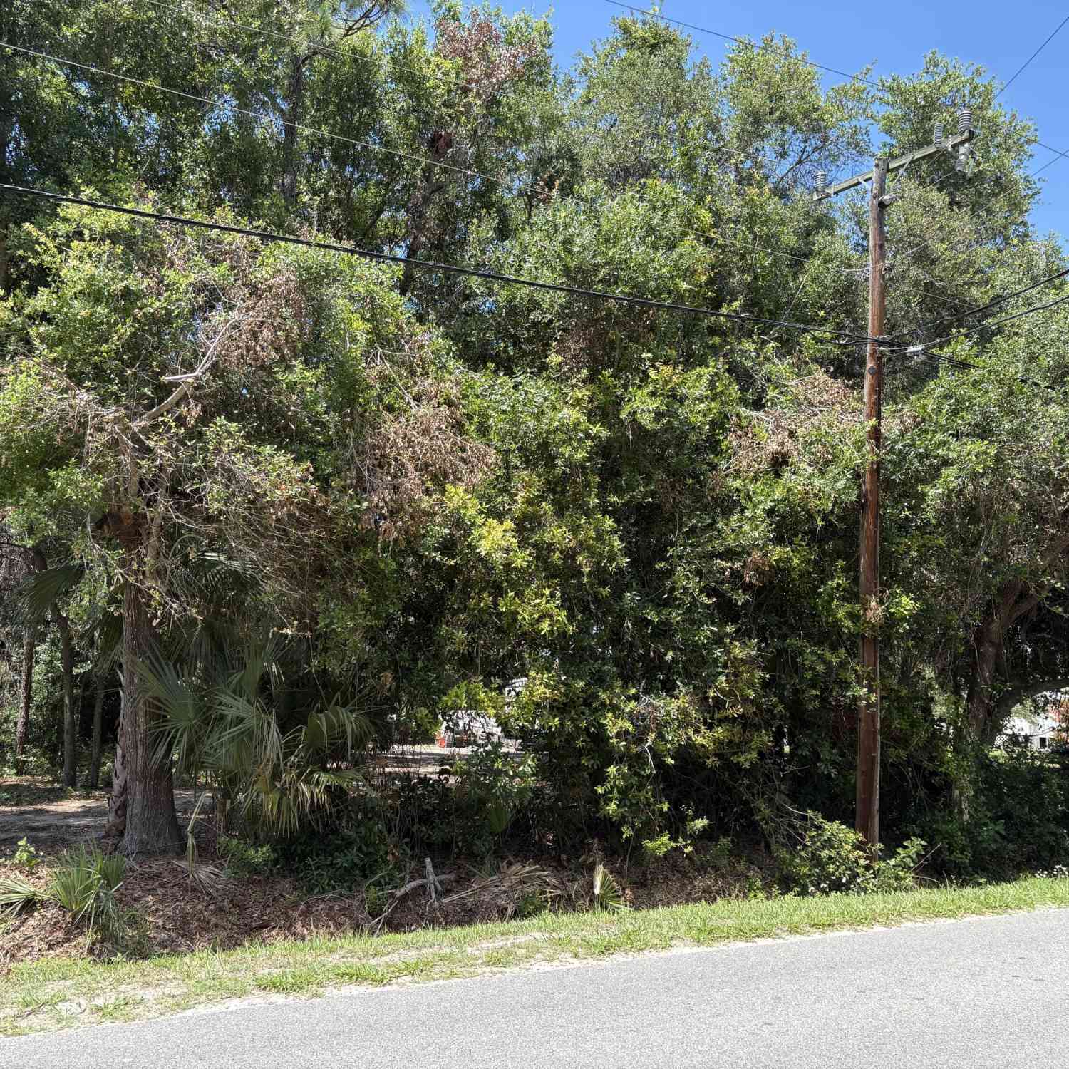 Vacant Land For Sale - 168 Canal Avenue<br/> Oak Hill, FL 32759