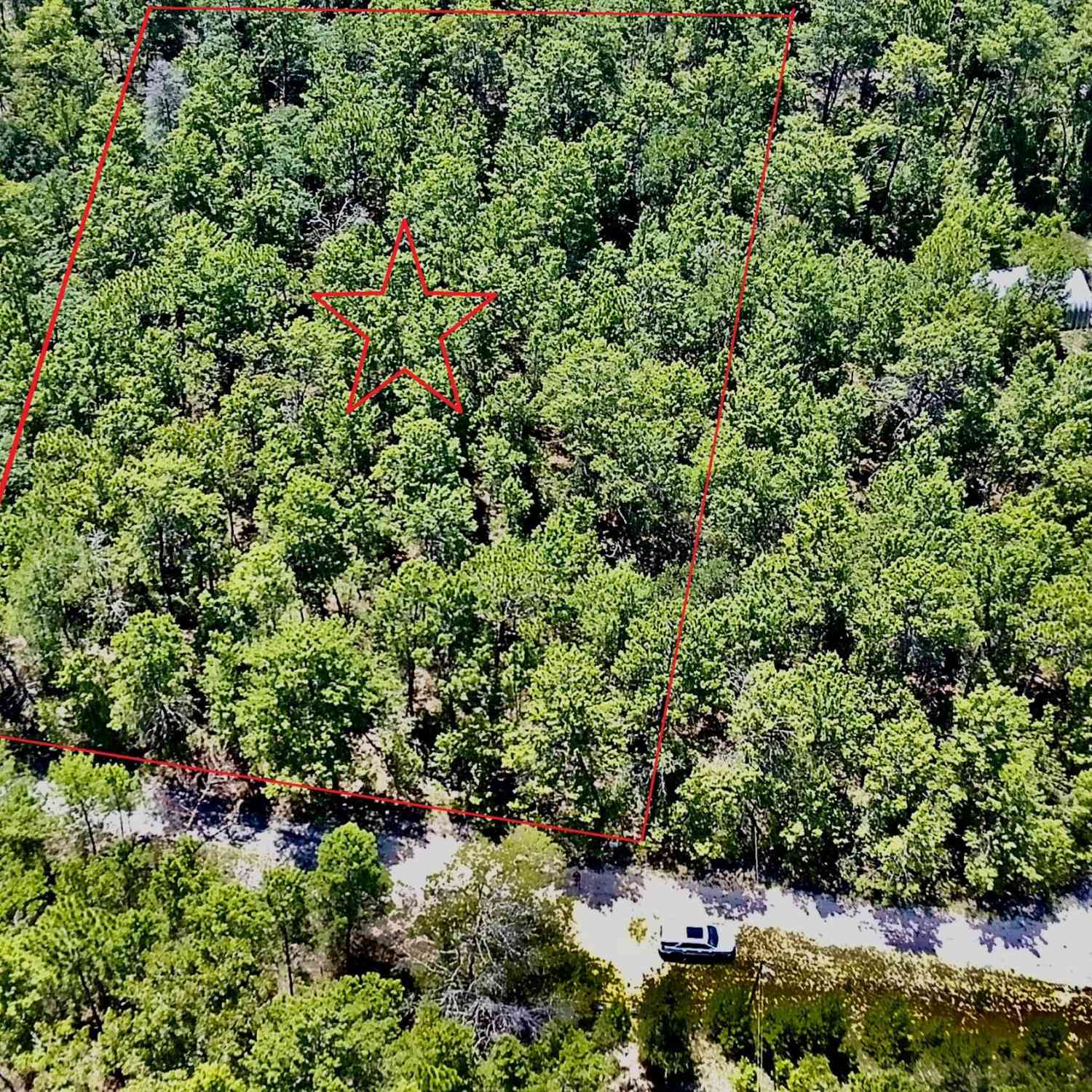 Vacant Land For Sale - 121 Pear Street<br/> Welaka, FL 32193