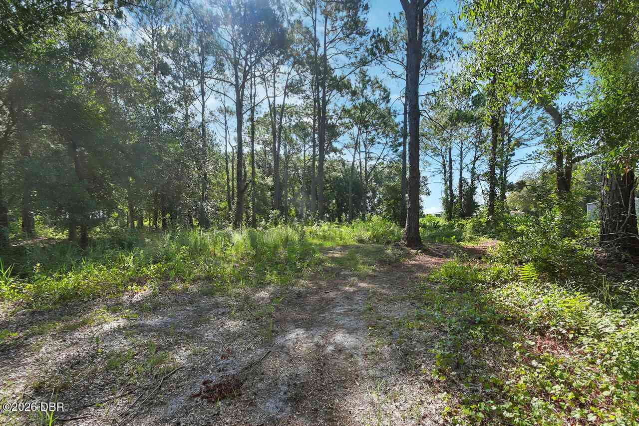 Vacant Land For Sale - 325 Garden Lane<br/> Bunnell, FL 32110