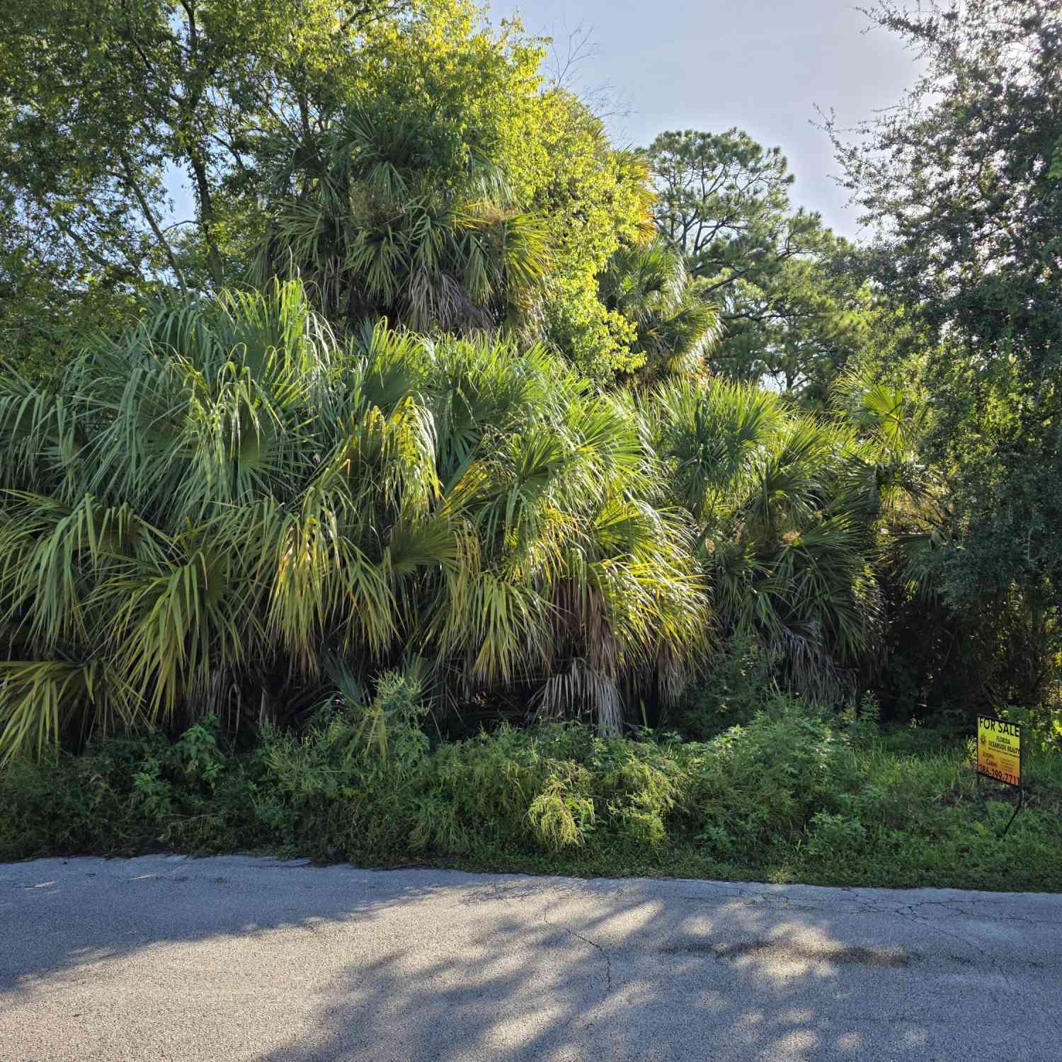 Vacant Land For Sale - 1201 Powers Avenue<br/> Holly Hill, FL 32117